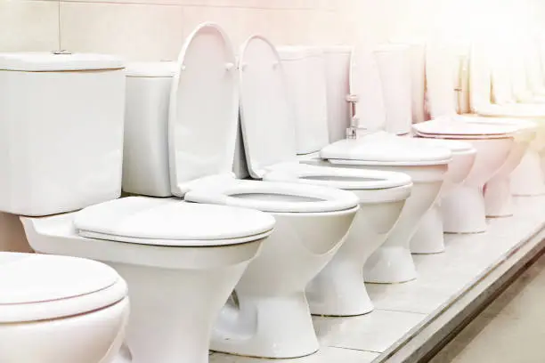 5 Types of Toilets & What Type You Should Buy