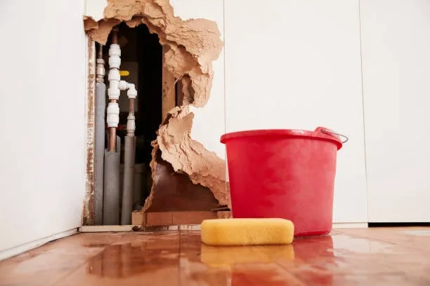 Are Renters Responsible for Water Damage?