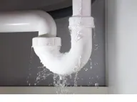 Emergency Plumbing Services in Florida