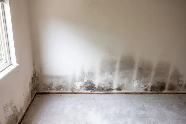 How Hard Water Could Be Harming Your Home