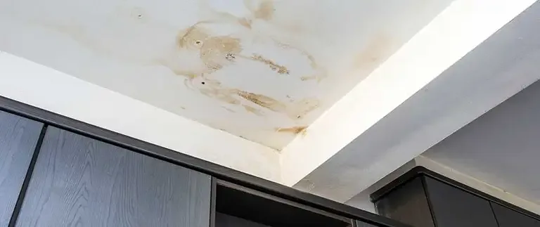 How Leak Detection Services Help Homeowners