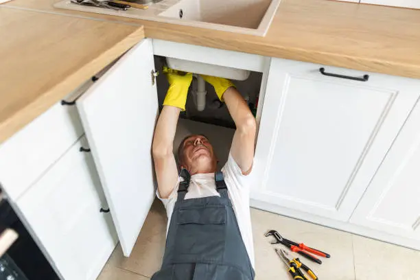 How to Unclog a Garbage Disposal with Standing Water