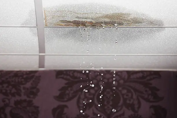 Signs That You May Have a Water Leak