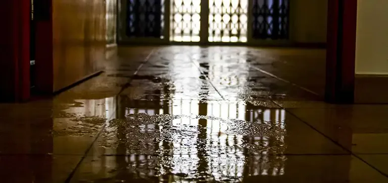 Understanding Flood Water: Clear Water, Gray Water, Black Water