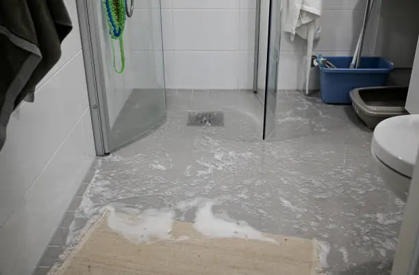 What Does It Mean When Water Comes Up From the Shower Drain?