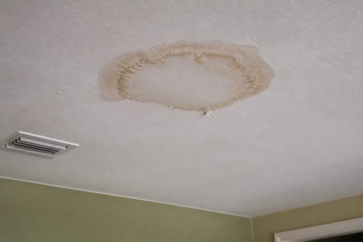 Ceiling water stain in a Lakeland home after a plumbing or AC drain leak
